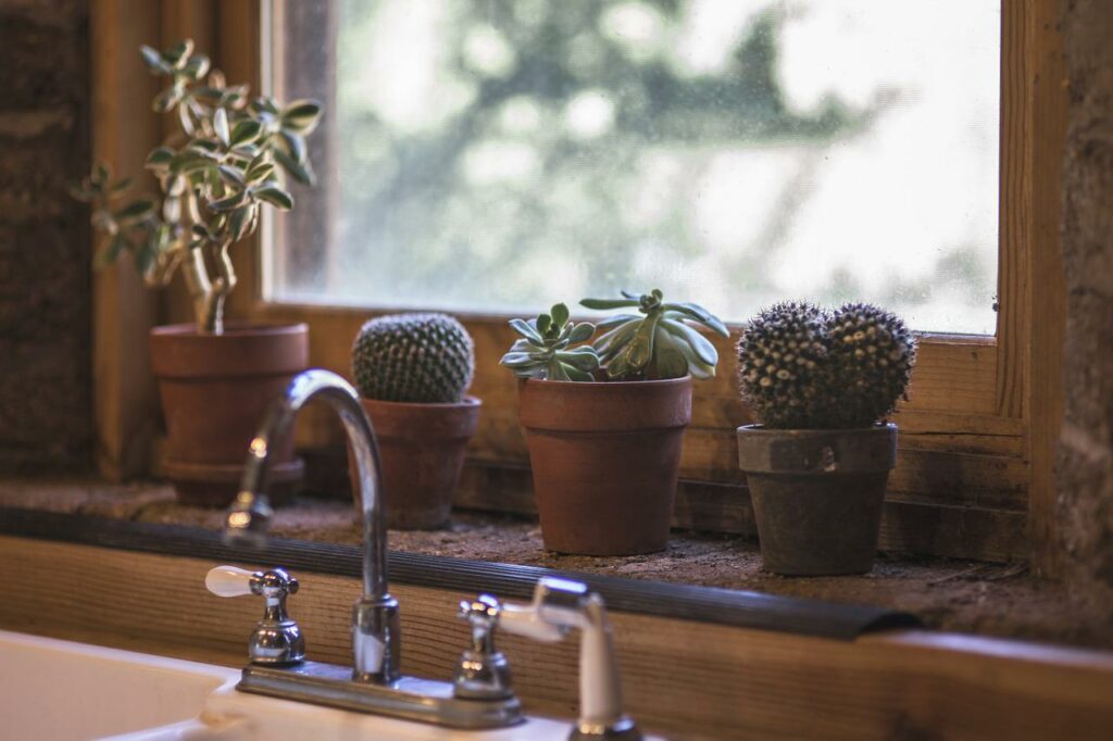 Küche Design Kaktus Fenster Wie Luftfeuchtigkeit in der Wohnung messen Unsere Tipps